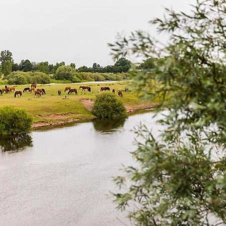Thoeles*** Am Allerpark Verden 버든 외부 사진